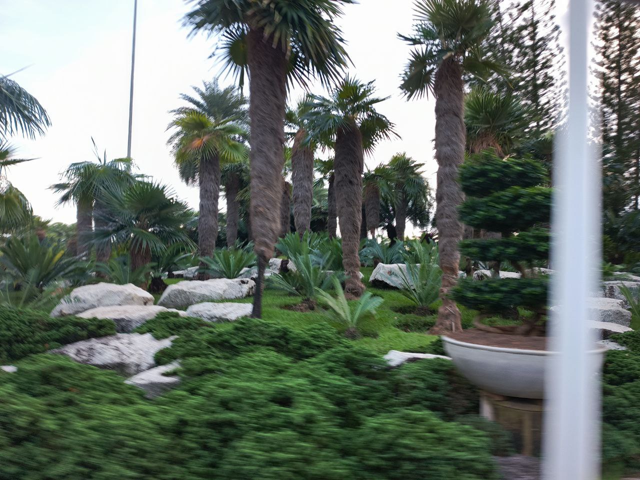 photo 2025 11 19 09 00 10